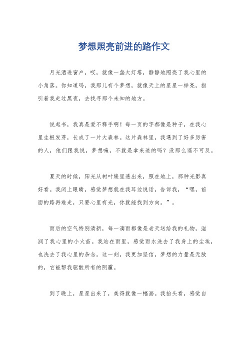 梦想照亮前进的路作文