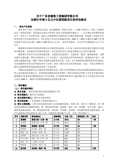 BT项目评估报告