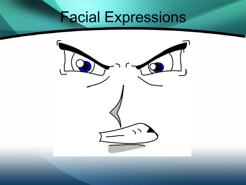 跨文化交际facial expressions