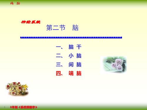 系统解刨学课件：17-4端脑