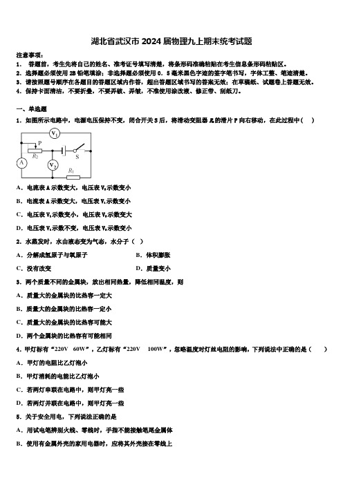 湖北省武汉市2024届物理九上期末统考试题含解析