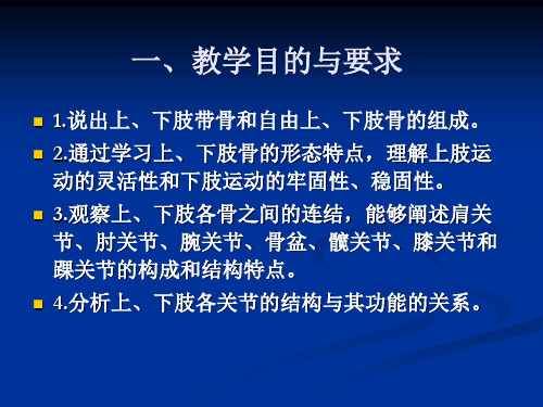 《系统解剖学》实验一 四肢骨及其连结PPT幻灯片