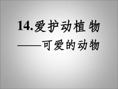 一下道德与法治可爱的动物ppt课件