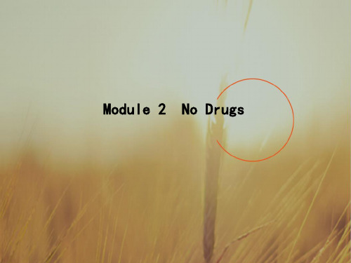 2018高考英语外研版大一轮复习课件 必修二 Module 2 No Drugs 精品