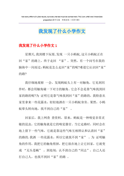 我发现了什么小学作文