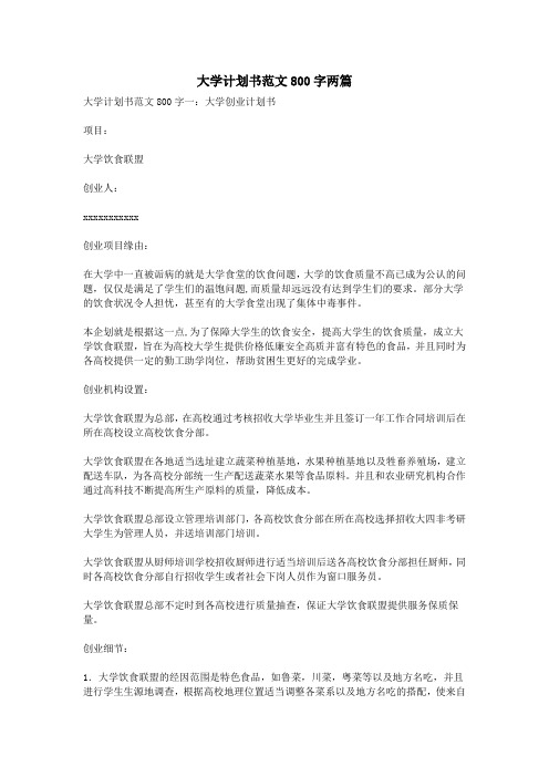 大学计划书范文800字两篇