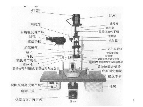 裂隙灯