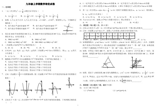 九年级上学期数学培优试卷