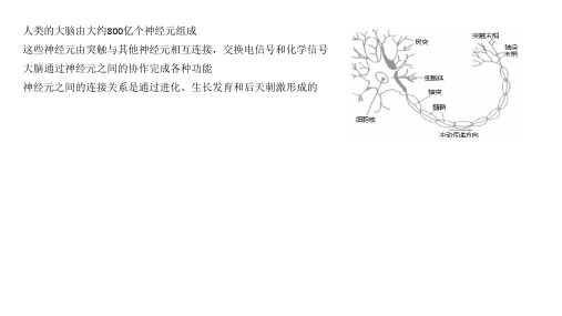 机器学习与应用第02讲人工神经网络ppt课件