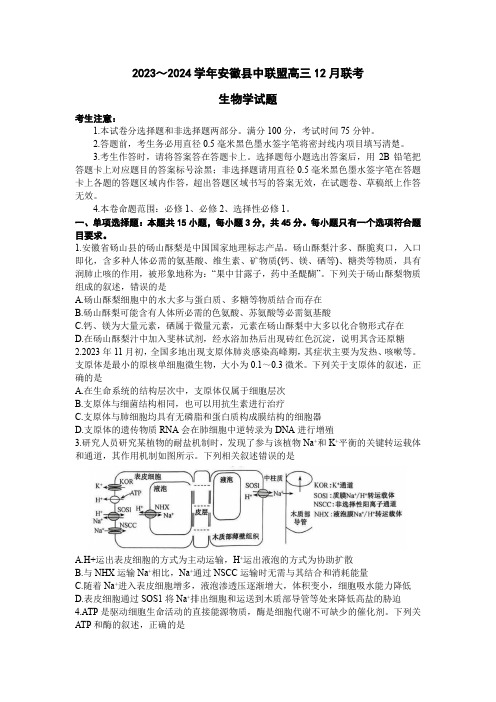 安徽省县中联盟2023-2024学年高三12月联考生物试题