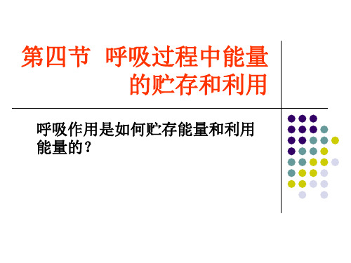 呼吸作用