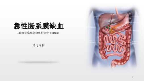 急性肠系膜缺血PPT课件