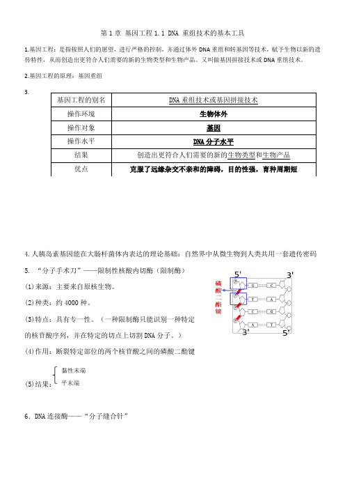 1-1DNA重组技术的基本工具基础知识高二下学期生物人教版选修3