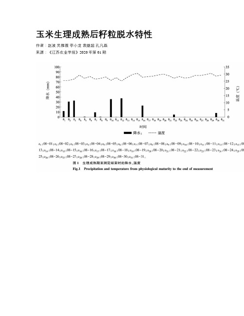 玉米生理成熟后籽粒脱水特性