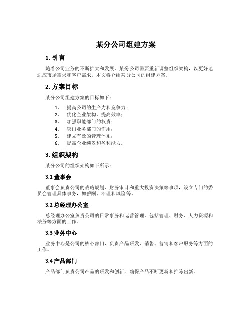 某分公司组建方案