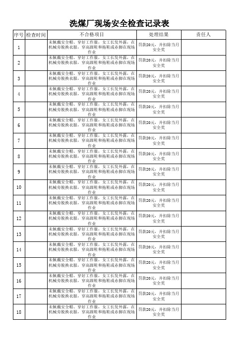 洗煤厂现场安全检查记录表详细1