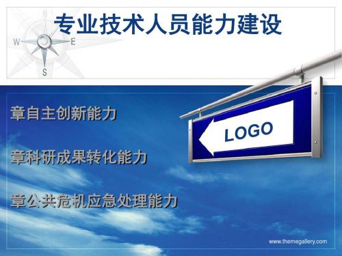 专业技术人员能力建设之自主创新能力讲义(ppt60张)