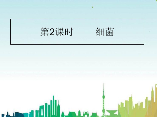 七年级生物下册6.1.2细菌课件2鲁科版五四制