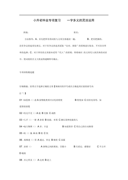 完整小升初毕业专项复习一字多义的灵活运用