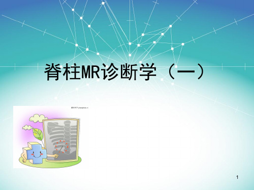 脊柱MR诊断1PPT