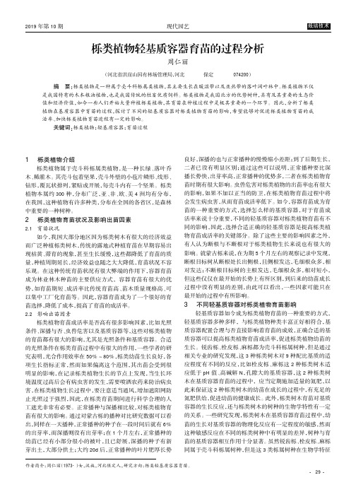 栎类植物轻基质容器育苗的过程分析