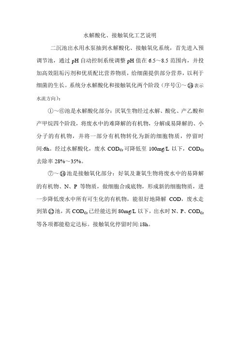 生化工艺说明图