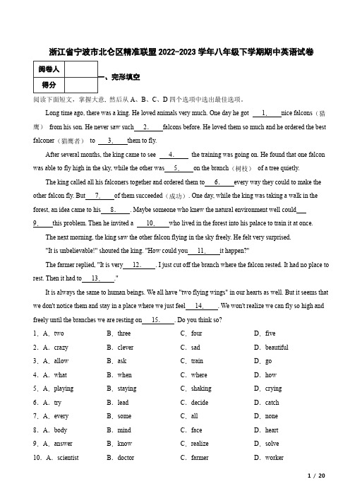 浙江省宁波市北仑区精准联盟2022-2023学年八年级下学期期中英语试卷  附解析