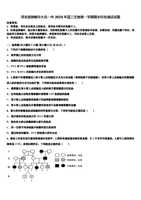 河北省邯郸市大名一中2023年高三生物第一学期期末综合测试试题含解析