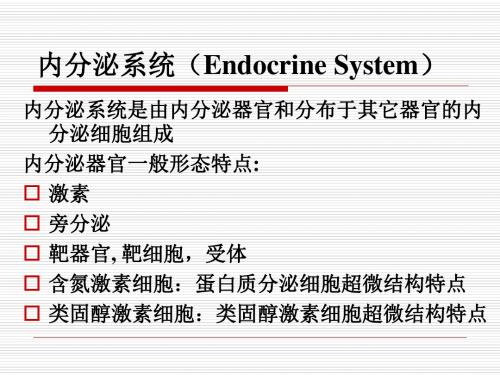 内分泌系统(Endocrine.