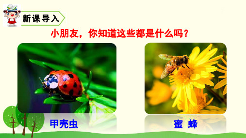 新人教版小学三年级语文下册第一单元昆虫备忘录教学课件