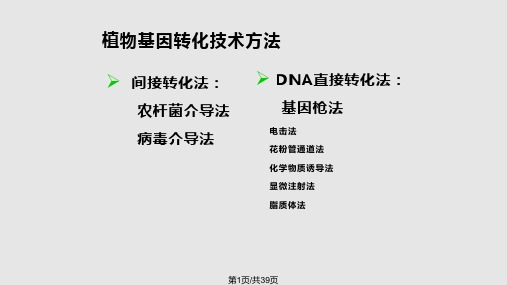 植物细胞转基因技术PPT课件