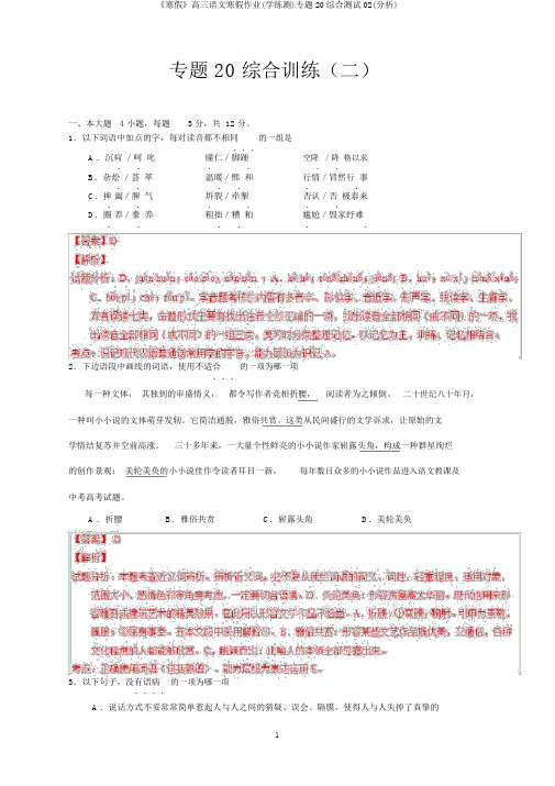 《寒假》高三语文寒假作业(学练测)专题20综合测试02(解析)