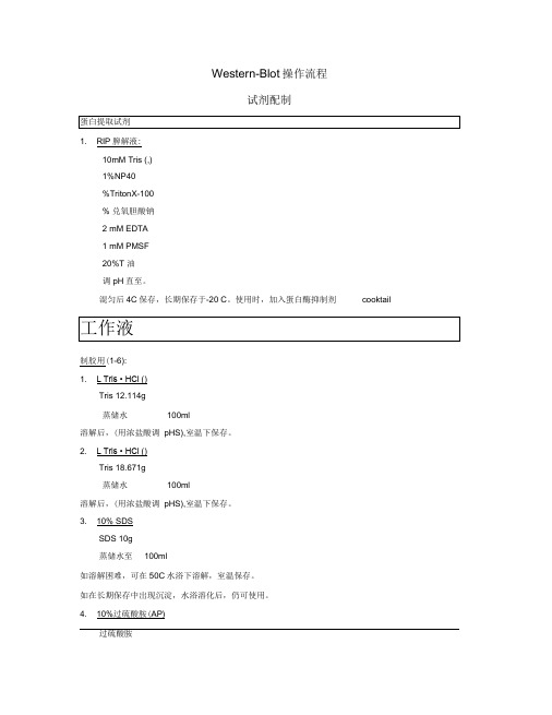 Westernblot试剂配制及操作流程