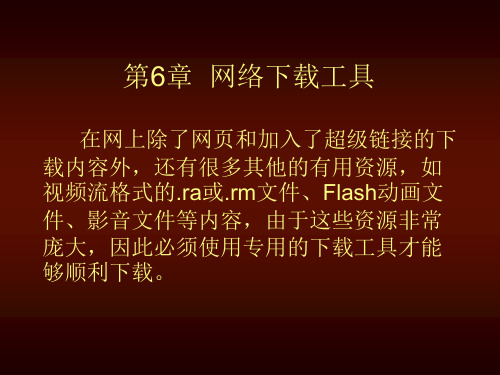 第6章网络下载工具
