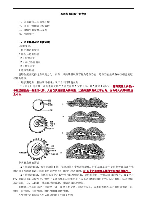 造血与血细胞分化发育考点总结