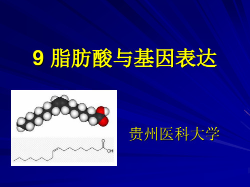 脂肪酸与基因表达..