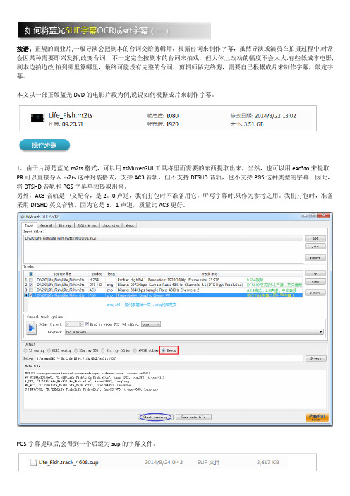 如何将蓝光SUP字幕OCR成srt字幕(一)