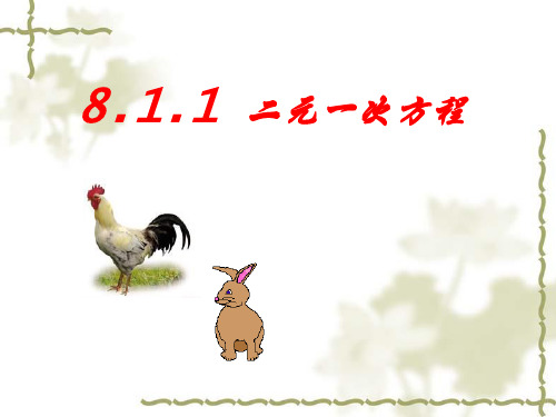 人教版数学七年级下册第8章8.1 二元一次方程组(共22张PPT)
