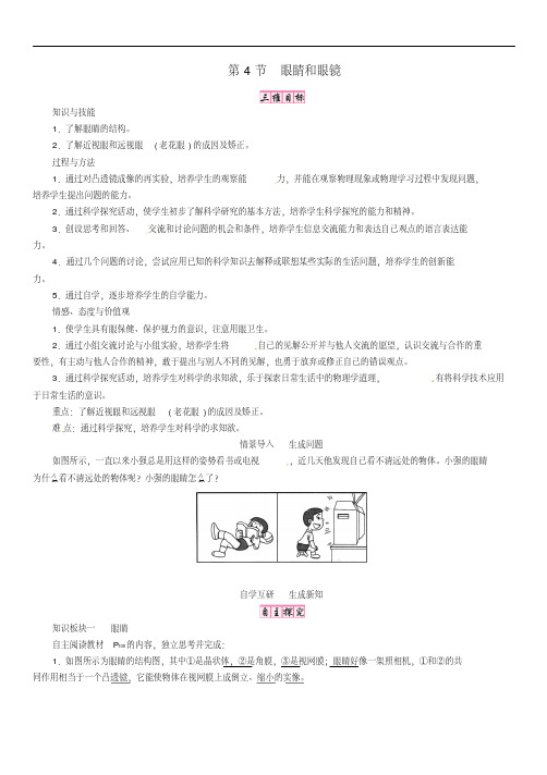 眼睛和眼镜省优获奖教案新版新