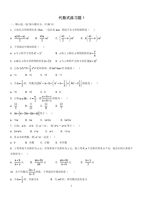 初一代数式练习题