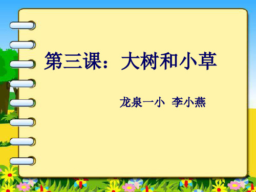 三年级上册科学课件 1.3 大树和小草 教科版(共13张PPT)