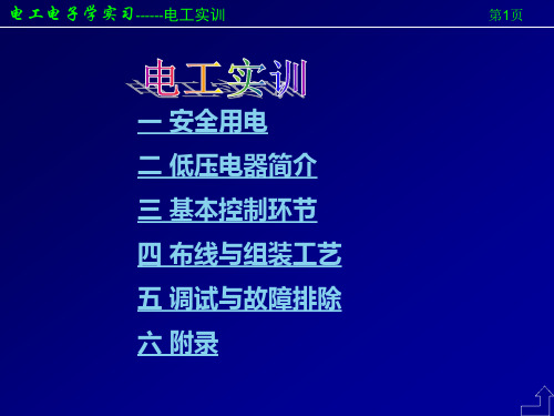 电工电子学实训-安全用电