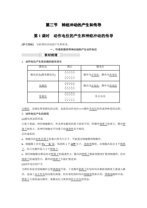 高中生物：第二章 第二节 第1课时 动作电位的产生和神经冲动的传导