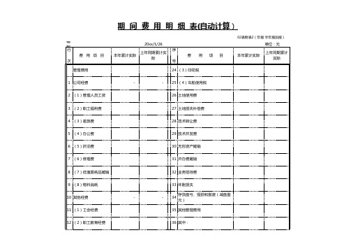 公司期间费用明细表模板