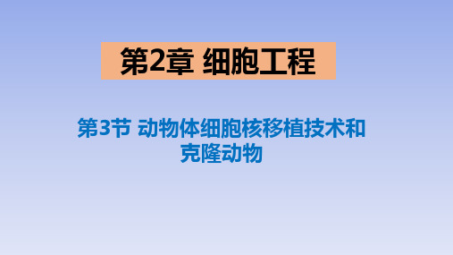 【生物】动物体细胞核移植技术和克隆动物课件高二下学期生物人教版选择性必修3