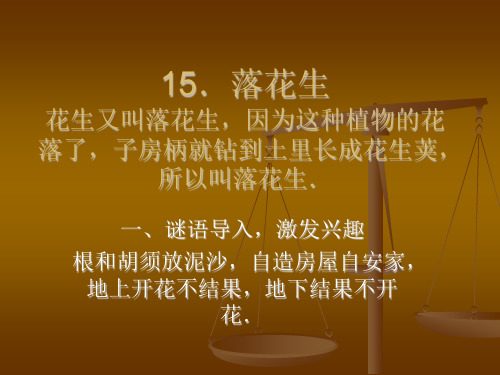 部编五年级上人教《15 落花生》吕艳丽PPT课件 一等奖新名师优质课获奖比赛公开免费下载