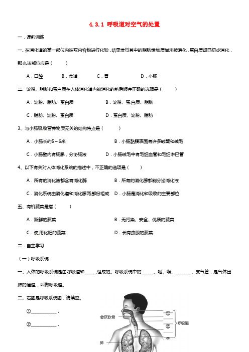 广东省佛山市禅城区南庄镇第三中学七年级生物下册《4.3.1 呼吸道对空气的处置》