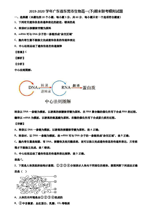 2019-2020学年广东省东莞市生物高一(下)期末联考模拟试题含解析