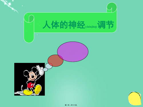 七年级生物下册 12.2 人体的神经调节课件