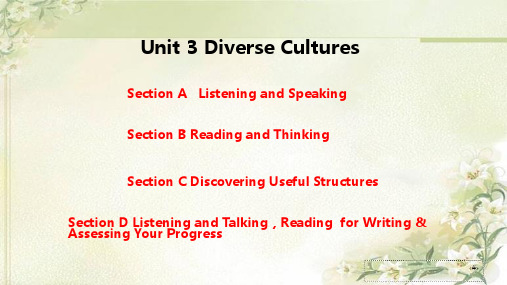 新教材人教版高中英语必修第三册 Unit 3 Diverse Cultures 精品教学课件